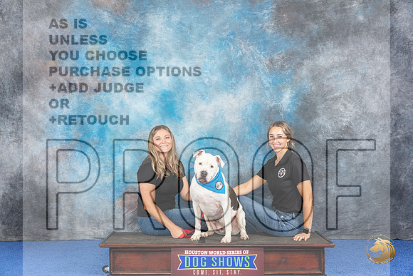 CUSTOM Adoption__JP_6468_Houston_2024_HR3