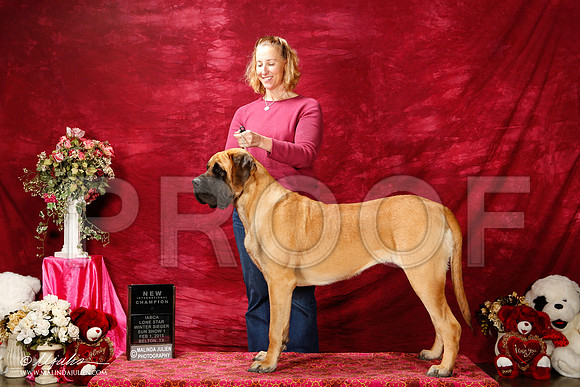 _ST_2842-2-BeltonJan2015IABCA-HR3