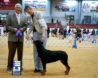 Rottweiler #16 Sat Winners Bitch Keye Lisa and Roger and Valerie McGraw Judge C Trotter