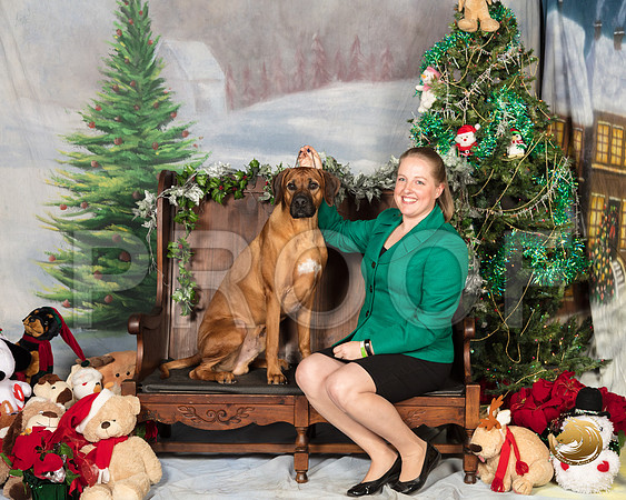 Rhodesian Ridgeback Sat Jennifer Smith_SSR_6821-©MalindaJulien.com-HR3