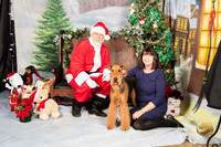 Dachshunds Cyndy Sneff