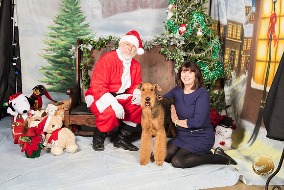 Airedale Sat_SSR_7079-©MalindaJulien.com-HR3