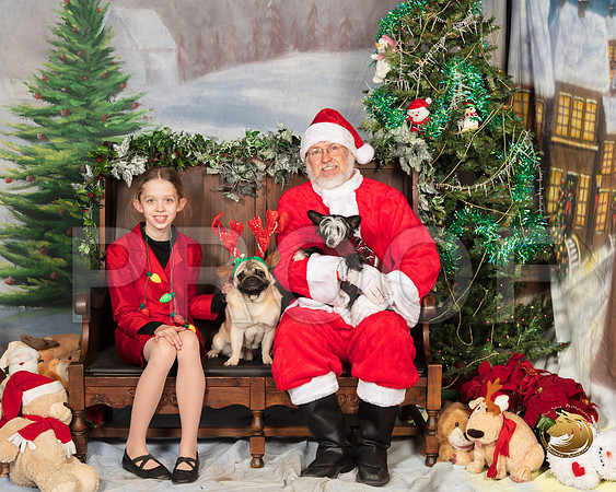 Pug Catherine Whisky_SSR_7241-©MalindaJulien.com-HR3