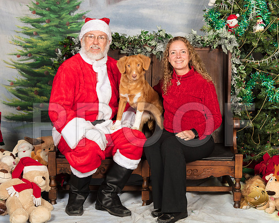 Nova Scotia Duck Tolling Retriever Liberty Sat_SSR_7270-©MalindaJulien.com-HR3