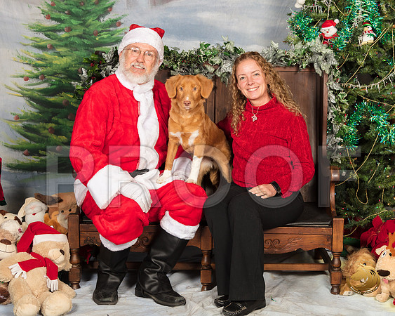 Nova Scotia Duck Tolling Retriever Liberty Sat_SSR_7271-©MalindaJulien.com-HR3
