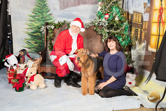 Airedale Sat_SSR_7081-©MalindaJulien.com-HR3
