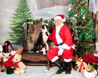 Great Dane Sat John Wood