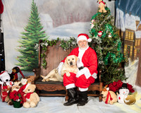 Labrador Retriever Sat Eliza