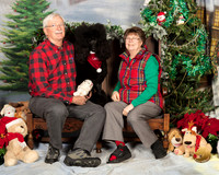 Poodle Standard Sat 4