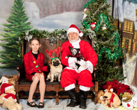 Pug Catherine Whisky