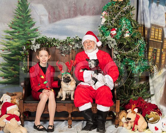 Pug Catherine Whisky_SSR_7244-©MalindaJulien.com-HR3