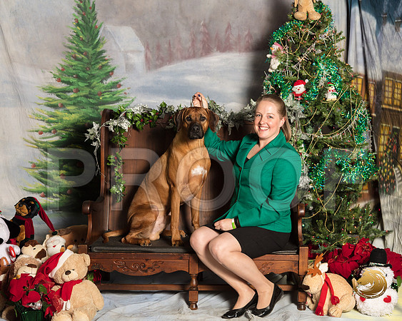 Rhodesian Ridgeback Sat Jennifer Smith_SSR_6823-©MalindaJulien.com-HR3