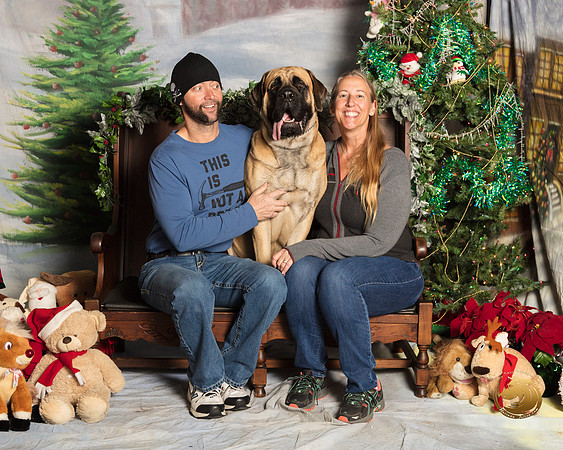 Mastiff Sun Jubilee_SSR_7278-©MalindaJulien.com-HR3