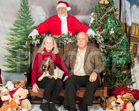 Basset Hound Glenda Pitts_SSR_7455-©MalindaJulien.com-HR3