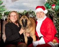 Belgian Tervuren Sun