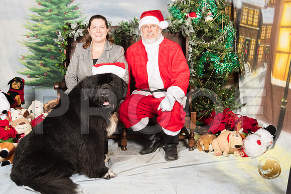 Newfoundland Santa Sun 1_SSR_7596-©MalindaJulien.com-HR3