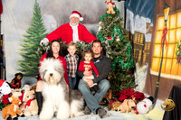 Old English Sheepdog Amy