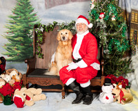 Golden Retriever Fri