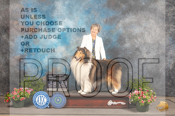 Collie Rough #9 Sun BOVG4 Judge Robert Shreve OHG4 Judge Allen Odom_MJ_1483_SA_2022_HR3