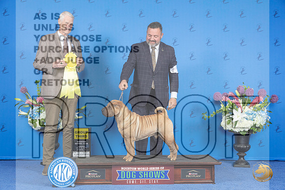 Chinese Shar Pei #5 THUR G3 Judge Jon Cole__JP_8569_Houston_2024_HR3