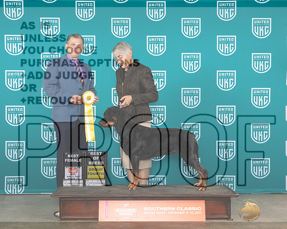 Rottweiler #191 Fri BFBOBG4 Judge Antonio Raposo-_JP_2819e_UKCBelton2023_HR3
