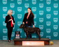 Allie Sutton UKC Belton Nov 2023