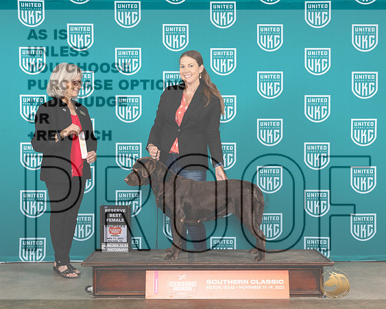 Labrador Retriever #231 Fri RWBCH Judge Nina Marie Sherrer-_JP_2812e_UKCBelton2023_HR3