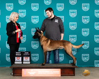 Chandler Robertson UKC Belton Nov 2023