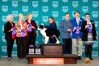 Chandra Martin UKC Belton Nov 2023
