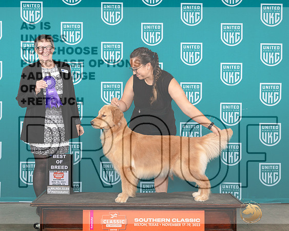 Golden Retriever #402 Sat BOB Judge Polly Drake Jones-_JP_3754e_UKCBelton2023_HR3