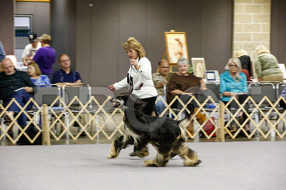 _JJ_8345-AfgBeltonOct2014-HR3