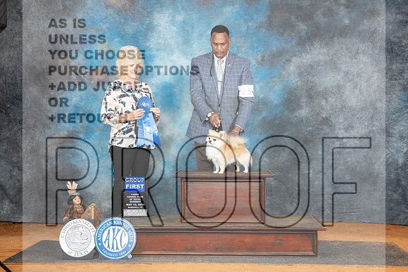 Chihuahua Smooth #25 Sun G1 Jduge Lisa Graser__JP_8720_MARSHALL_2024_HR3