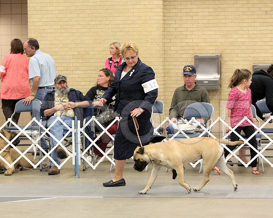 6-9Pup-8400