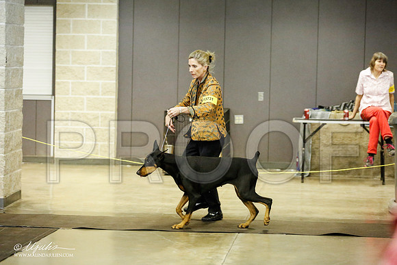 _RH_1906-BeltonJan2015IABCA-HR3