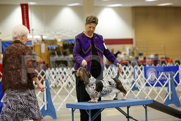 _JN_3019-AmarilloSept2014-HR3