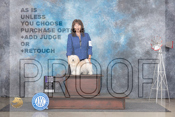 Havanese #9 Fri WDCH Judge Gary Andersen__JP_5327_Amarillo_2024_HR3