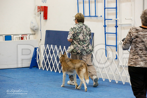 _M3_7832-AddisonHuskyMar2015-HR3