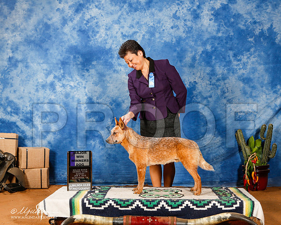 _ST_1415-2-GlenRoseJan2015-HR3
