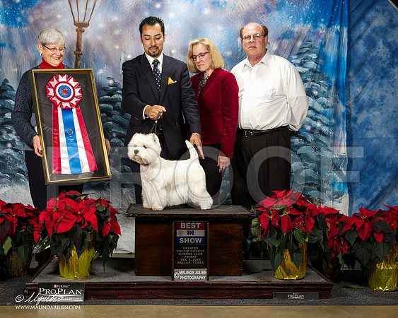 _ST_8398-DallasDec2014-HR3