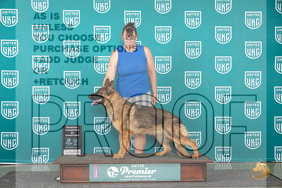 German Shepherd Dog #1047 Fri RCOC Judge Stan Matsumoto__JP_2802_Premier_2024_HR3