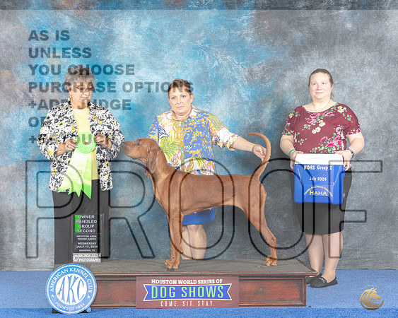 Rhodesian Ridgeback #6 WED NOHS G2 Judge Marilyn Pipes__JP_7237e_Houston_2024-HR3.jpg