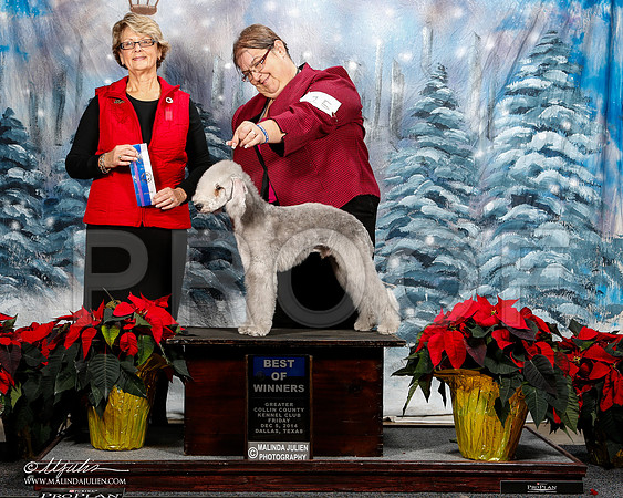 _ST_8127-2-DallasDec2014-HR3