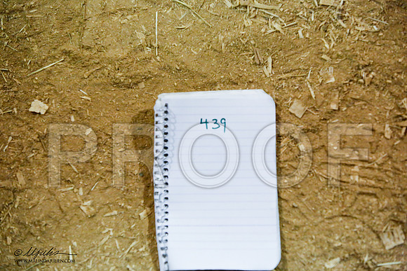 _JN_7005-ASCACollegeStationNov2014-HR3