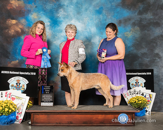 ACD #007 Tues 6-9 1st Kerry Hamilton M Staib Judge Sherry MacLennan-SSR_2309-HR3_90