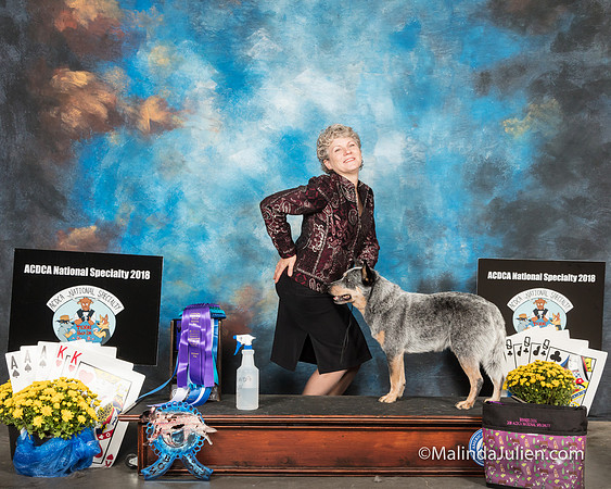 ACD #303 Wed BOW Louanne Brooks Ludwig Carol Delsman Amelia Brooks Judge Sherry McLennan-SSR_2366-HR3_50
