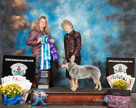 ACD #303 Wed BOW Louanne Brooks Ludwig Carol Delsman Amelia Brooks Judge Sherry McLennan-SSR_2369-HR3_60