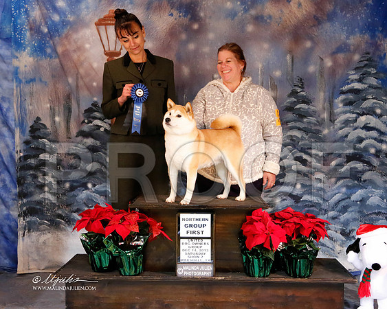 shiba-6277-MrshlDec13-HR