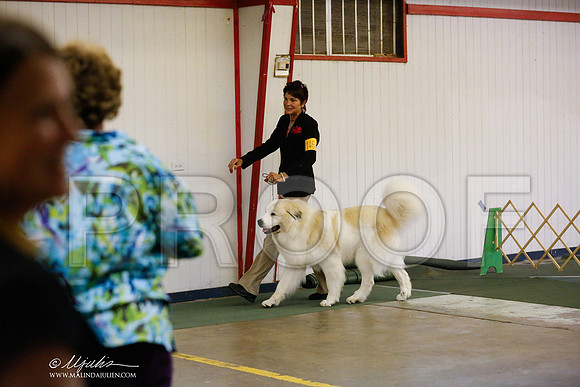 _RH_5932-DntnJun2014-HR3