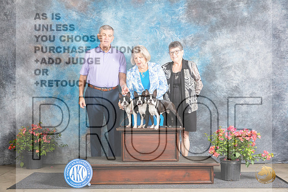 Boston Terrier #10 Fri BOS Judge Polly Smith__JP_3931_San Antonio_2024_HR3