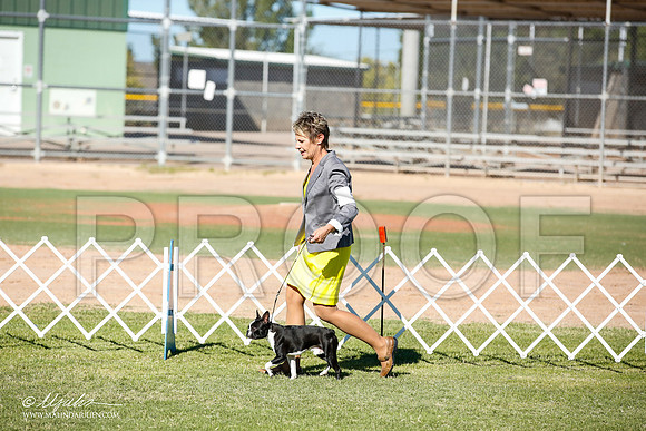 _JN_8440-AlamogordoOct2014-HR3